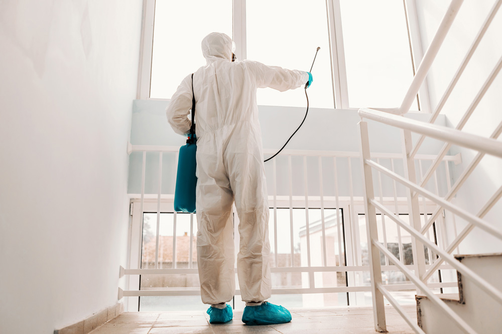 Person cleaning windows from inside