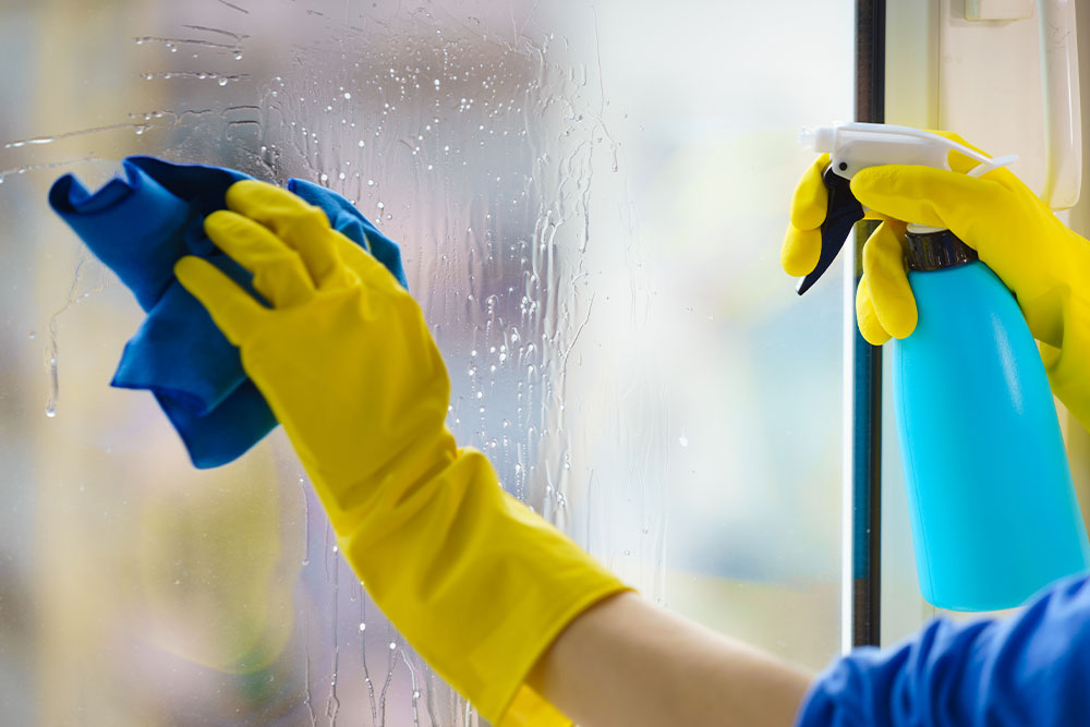 Person cleaning windows inside a school